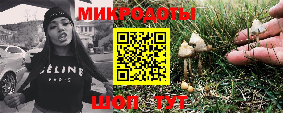 Галлюциногенные грибы Cubensis  Псилоцибиновые грибы ЛСД  как найти   Знаменск  Вход с VPN 